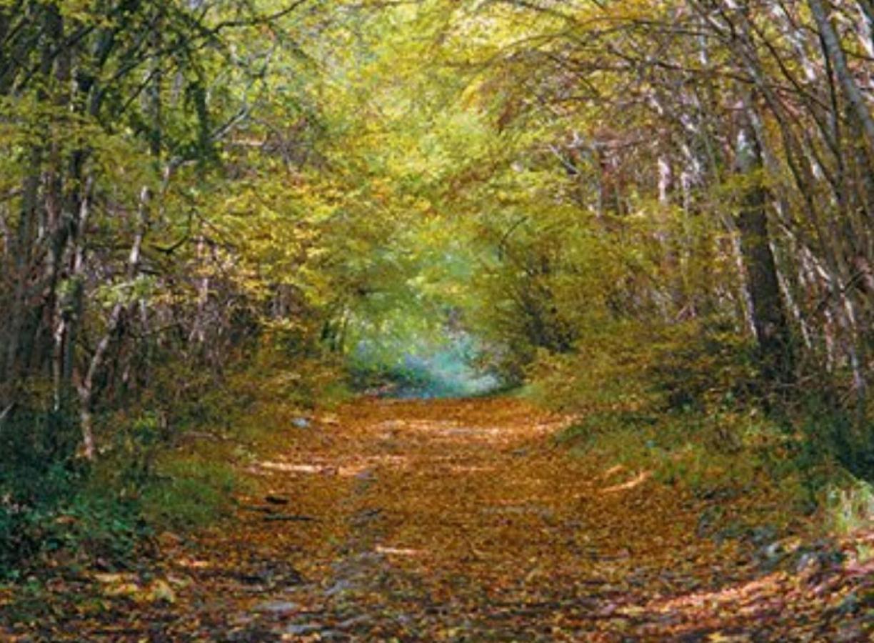Kaiserwald Пула Екстер'єр фото
